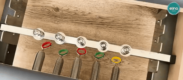 Colour Rings On The Lignum Bar